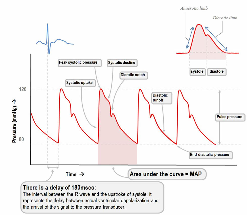 products RTM Vital Signs