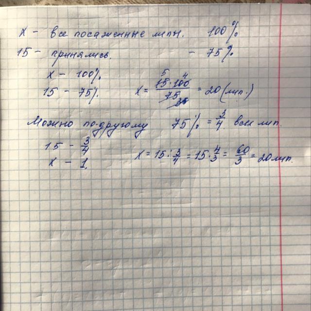 Весной при проведении работ по озеленению города на улице посадили липы
