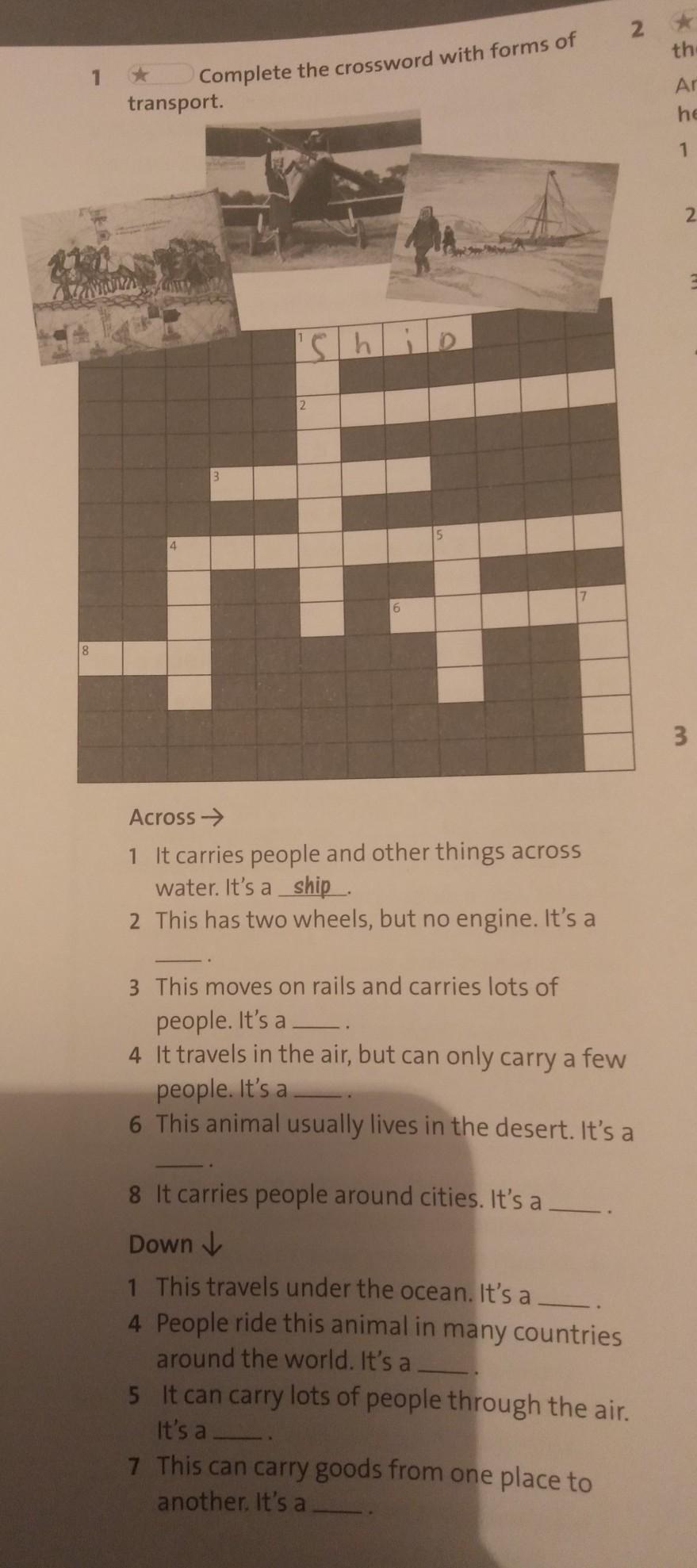 complete the crossword with forms of transport. Школьные