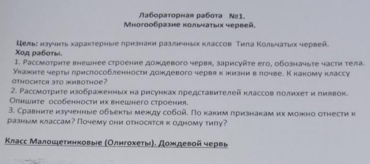 Лабораторная работа по биологии 7 класс Школьные