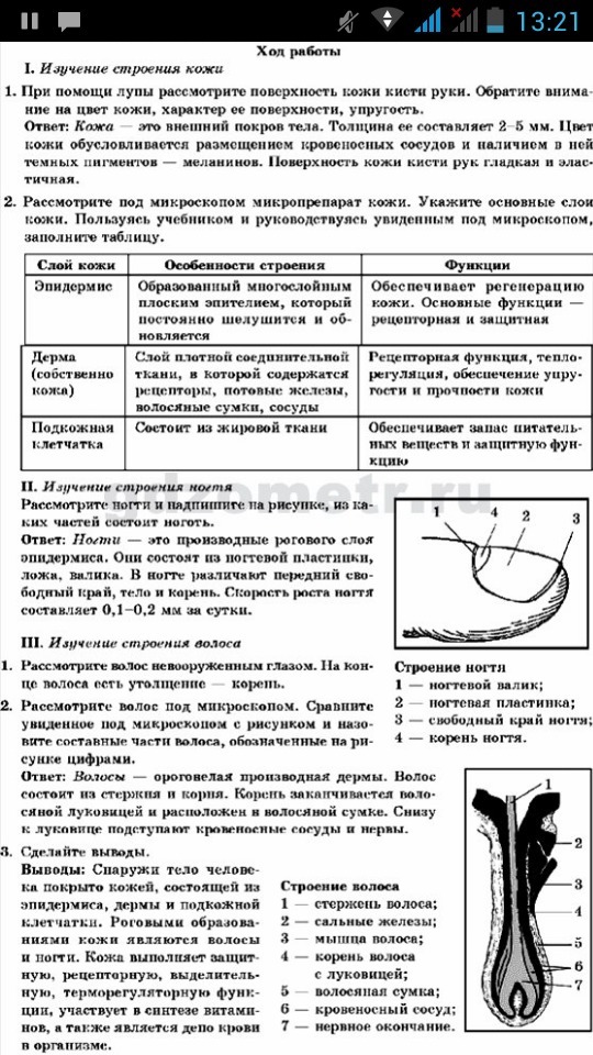 готовая лабораторная работа номер 5 по биологии за 9 класс Школьные