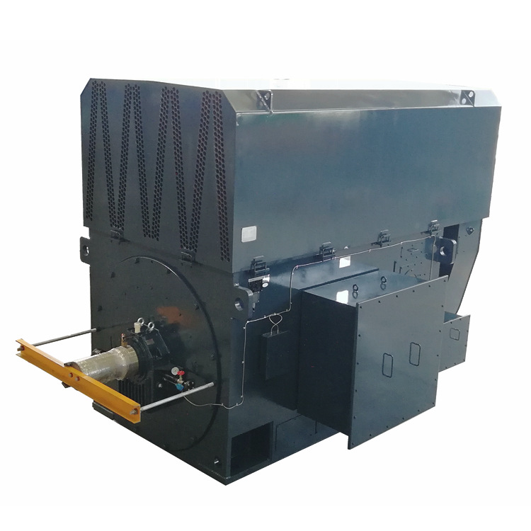 Customized, Large High Voltage Motor