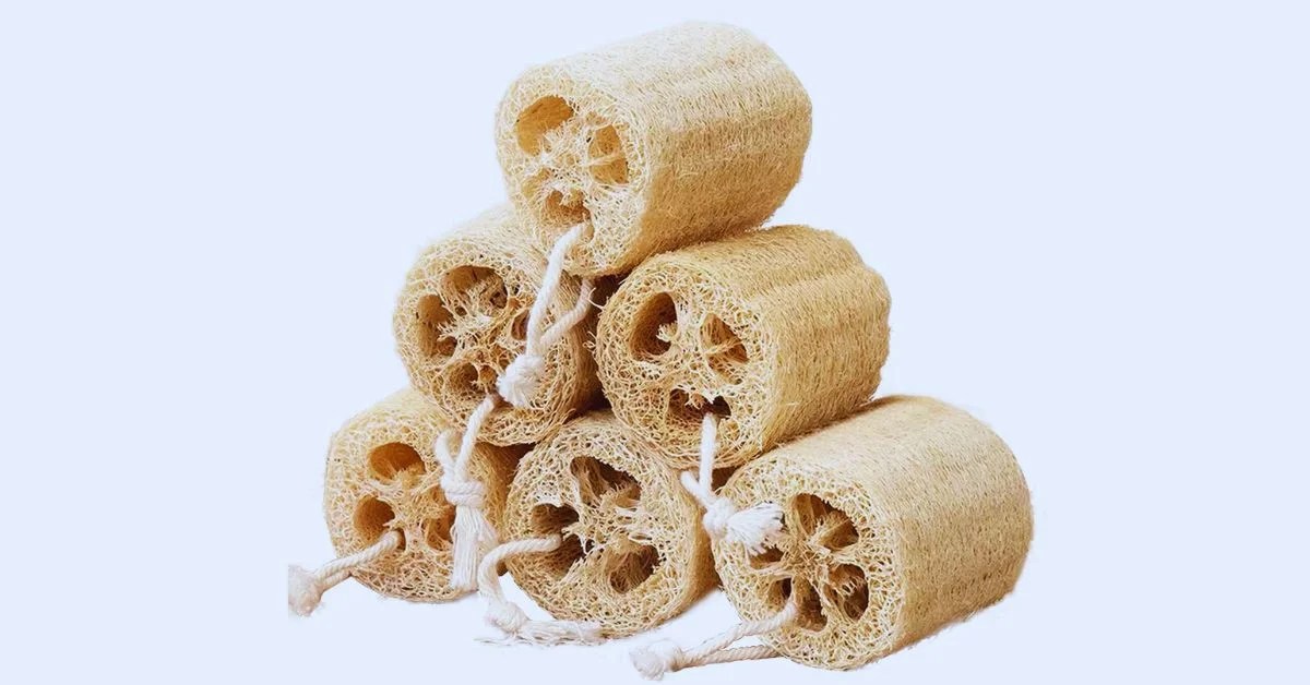 The Wonders of Loofah Sponges More Than Just a Bath Buddy