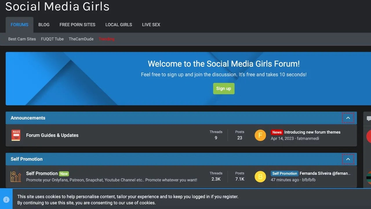 SocialMediaGirls.com: A Cautionary Tale of Online Communities