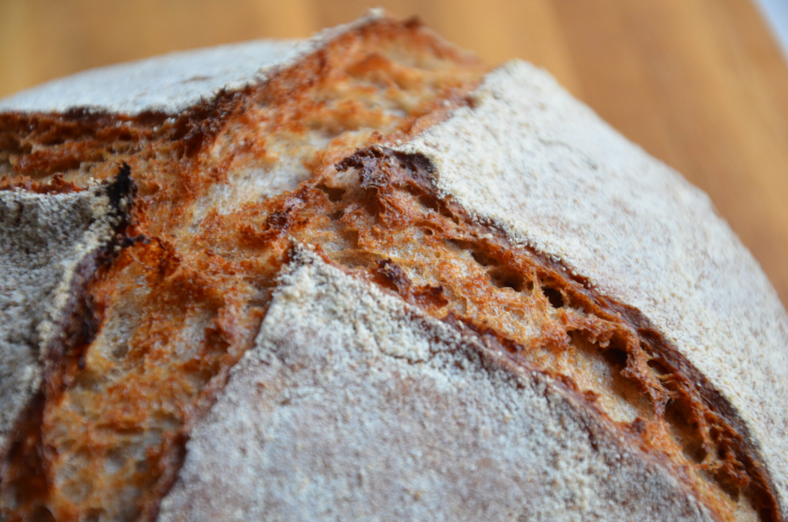 Das Gemischte Roggen Weizen Brot von seitlich oben. Das Brot ist bemehlt und wenn man mit dem Finger darüber fährt spürt man den Kreuzschnitt der beim backen leicht aufgegangen ist und auf dem sich kein Mehl befindet.