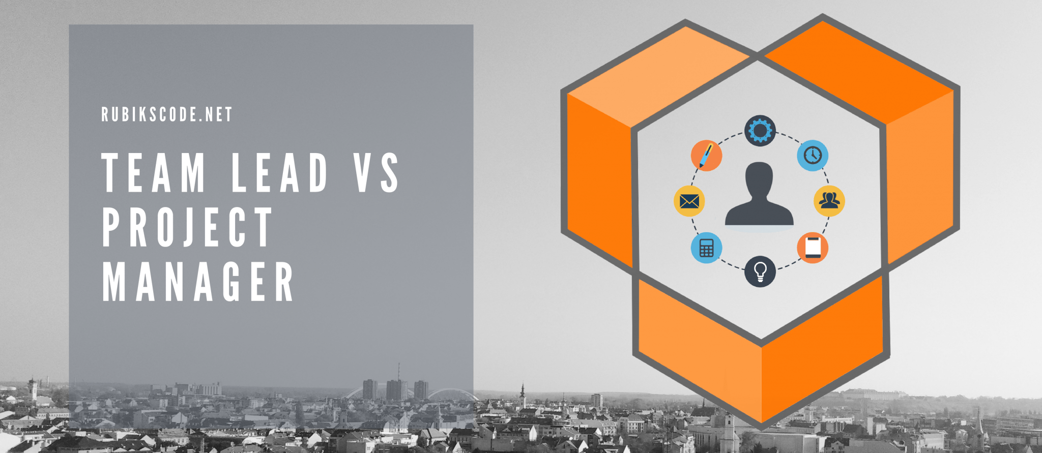 Team Lead vs. Project Manager Rubik's Code