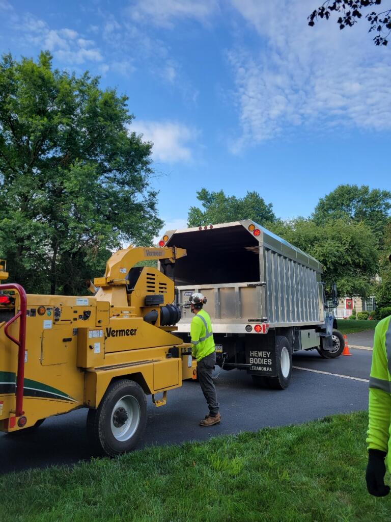 Gallery Rubio's Tree Service