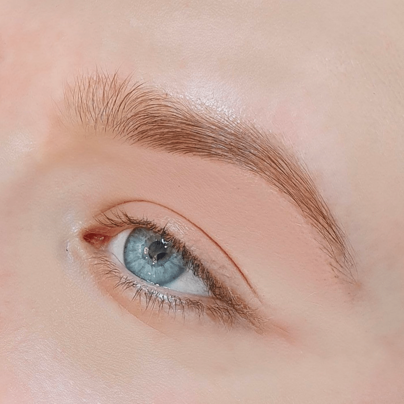 Discover the Beauty Hotspots Eyebrow Shaping Studios in Sydney RubMD