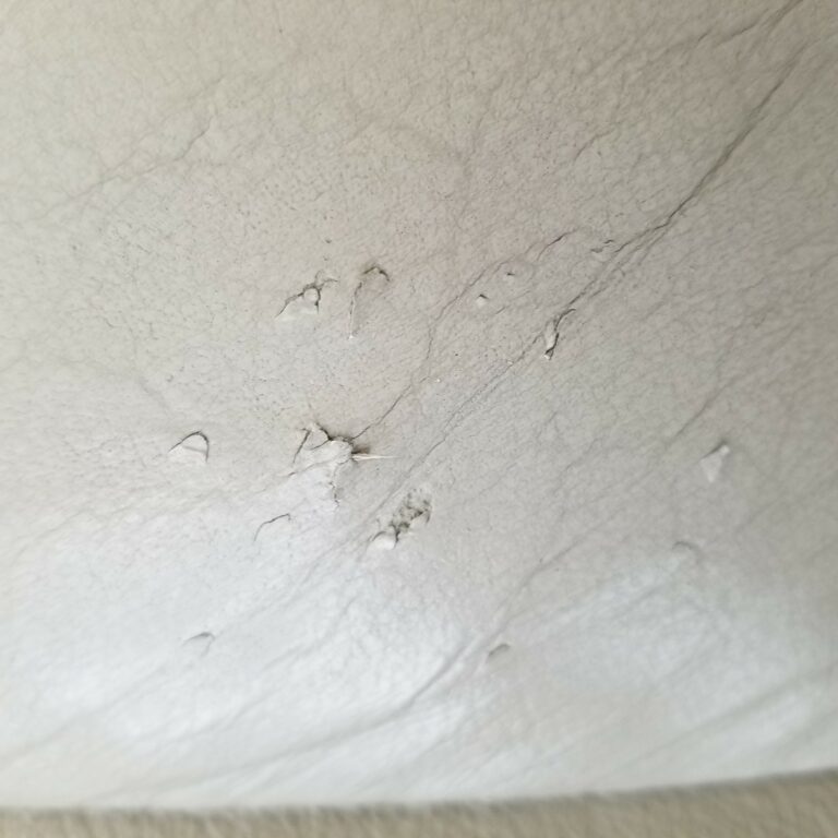 How to Repair Dog & Cat Scratches on Vinyl & Leather Furniture