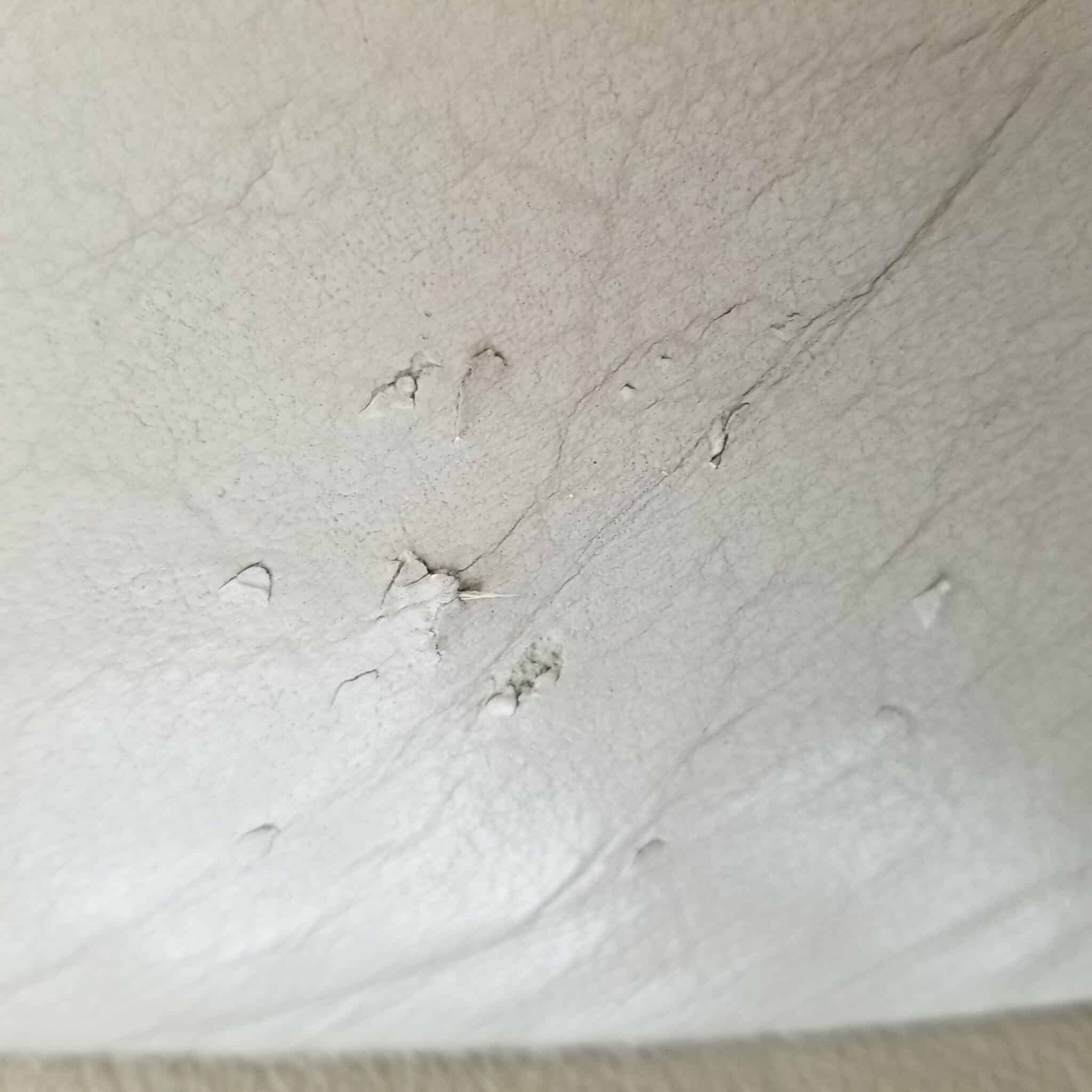 Repair Dog & Cat Scratches on Leather