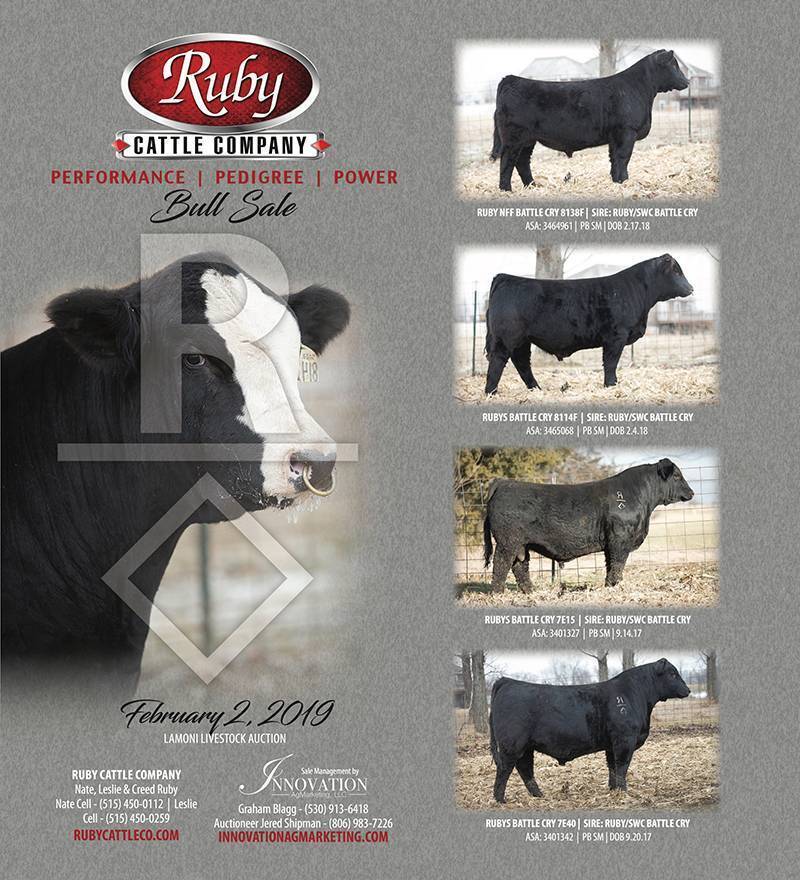 Ruby Cattle Co. For Sale