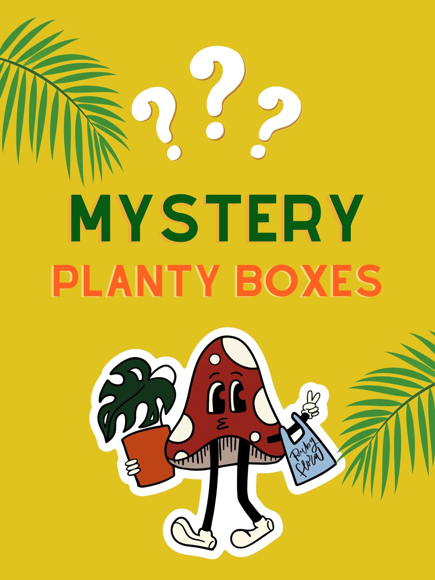 MYSTERY BOXES Ruby Flora Plant Shop