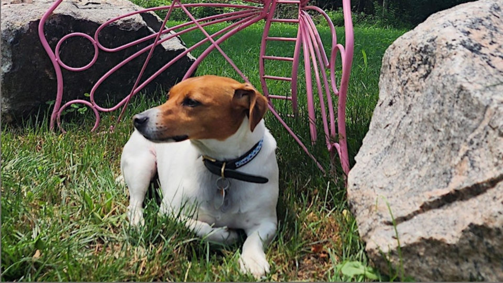 Events Ruby Hill Farm