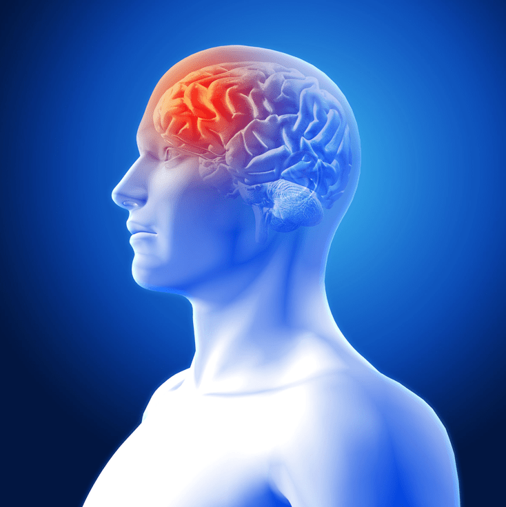 Neurology Ruby Hospital