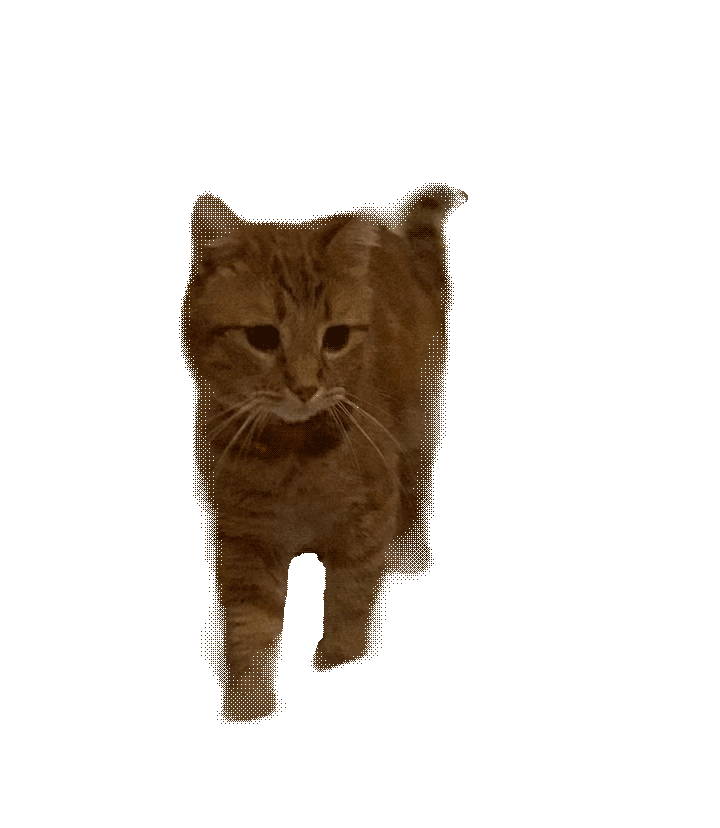 cohost! post from proxy