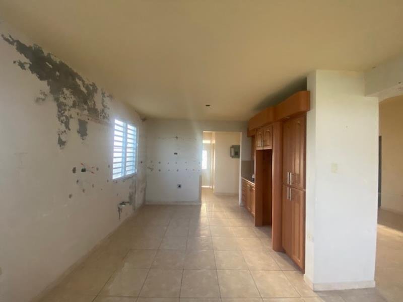 Ruby REALTY 455RD QUEBRADA, Camuy Puerto Rico