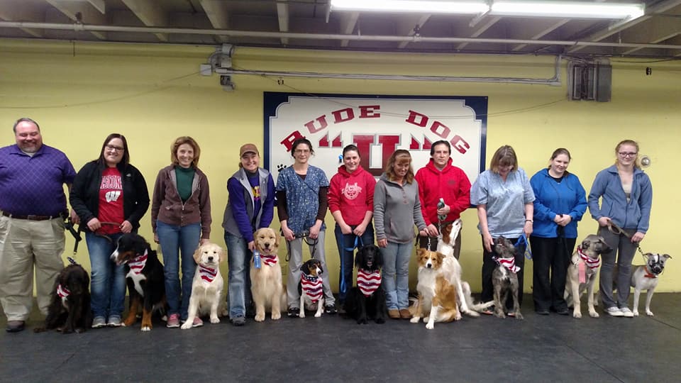 Rude Dog University Dog Training Eau Claire WI