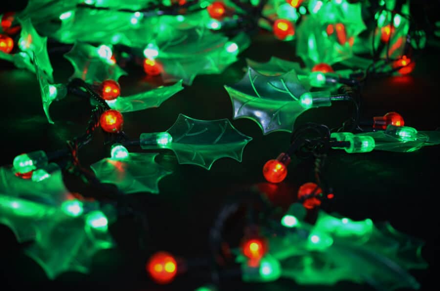 100Pc LED Holly Lights Rudolph's Christmas