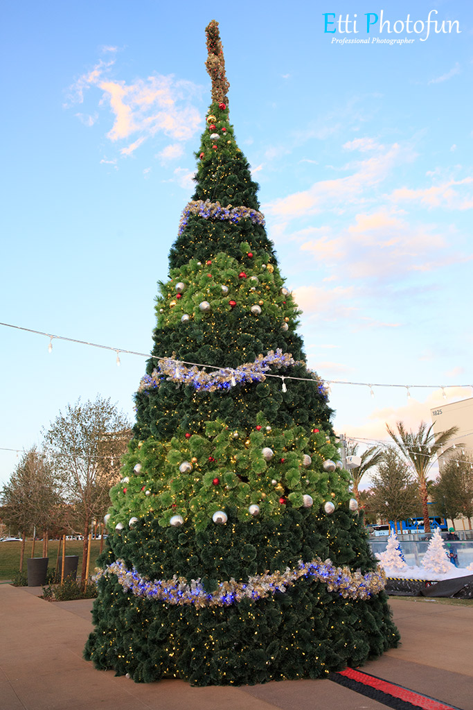 Rudolph's Christmas Trees