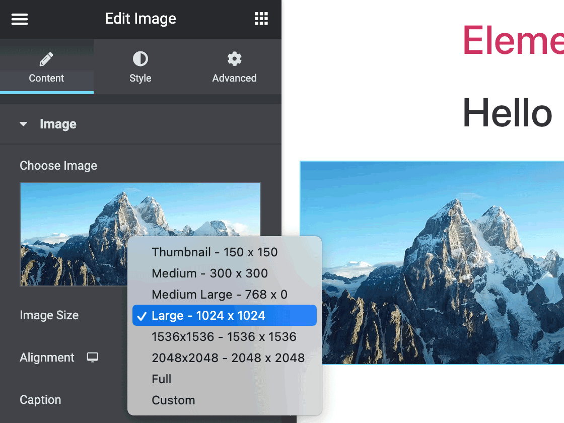 Elementor Interation for Crossposting Plugins