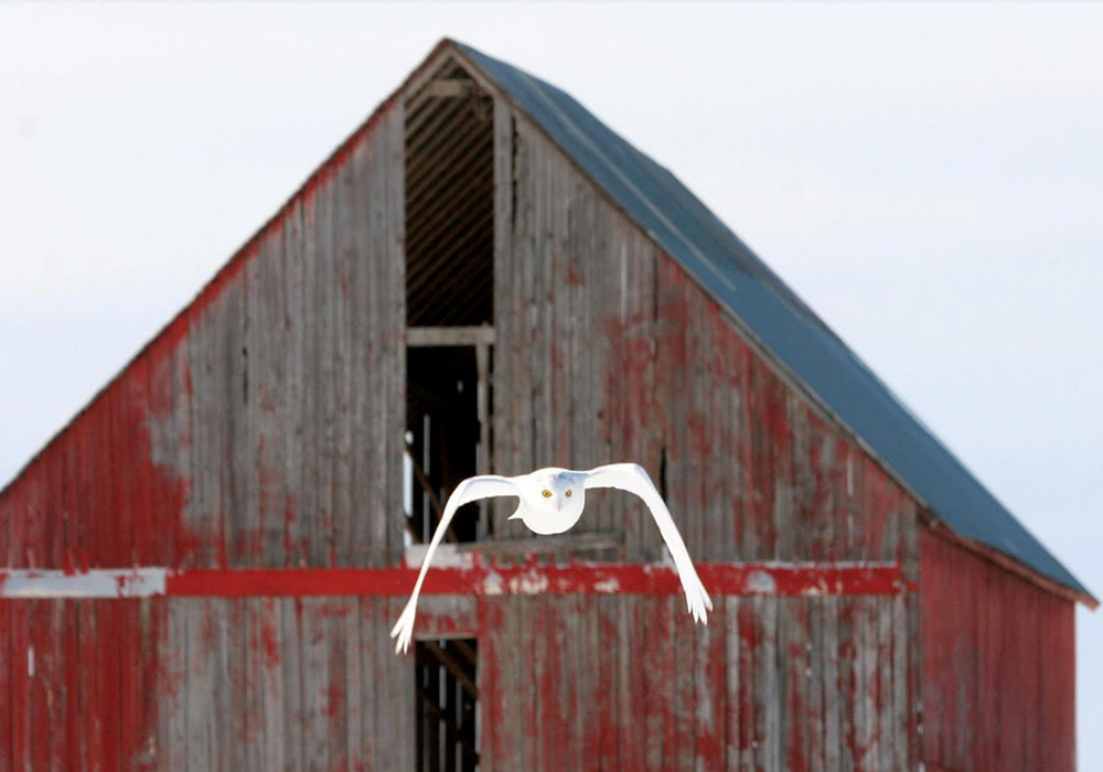 Rudyard Township Rudyard, Michigan