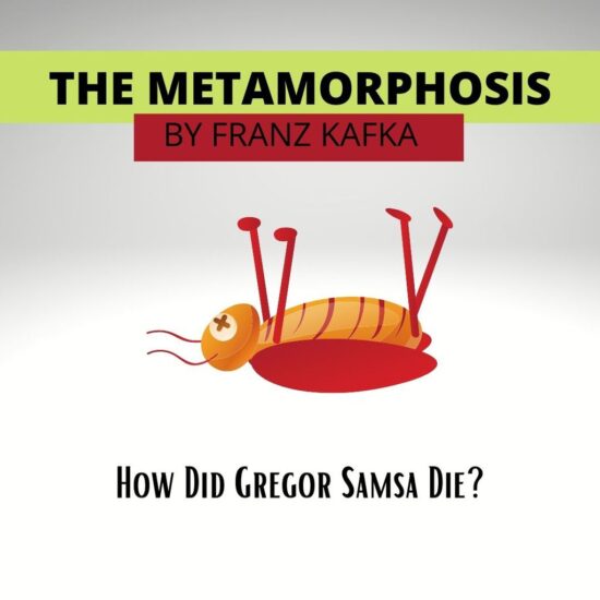 Summary And Theme The Metamorphosis Book By Franz Kafka