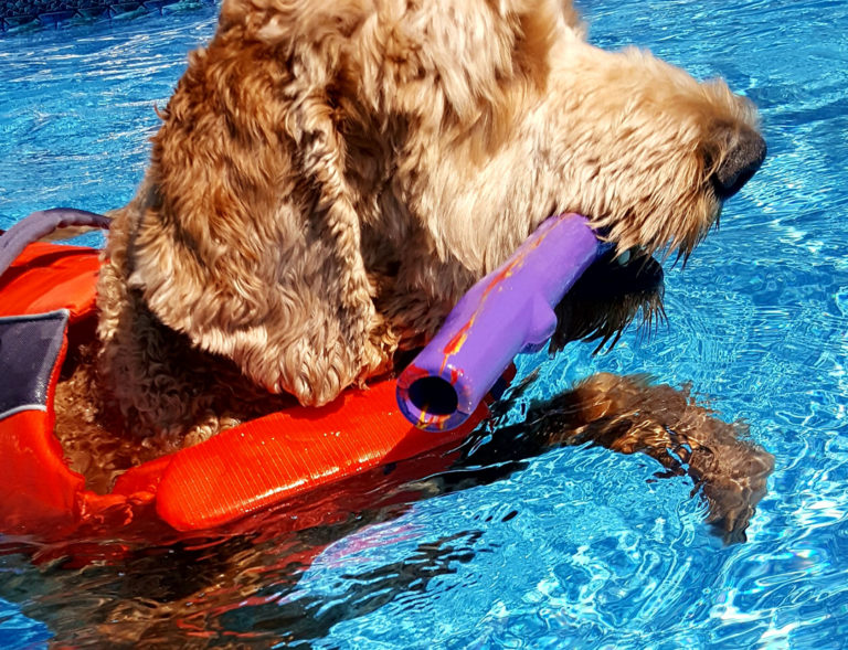 Stick / Twig RuffDawg Dog toys