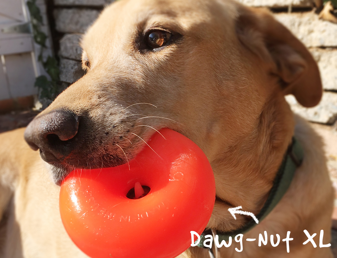 DawgNut & DawgNut XL RuffDawg Dog toys