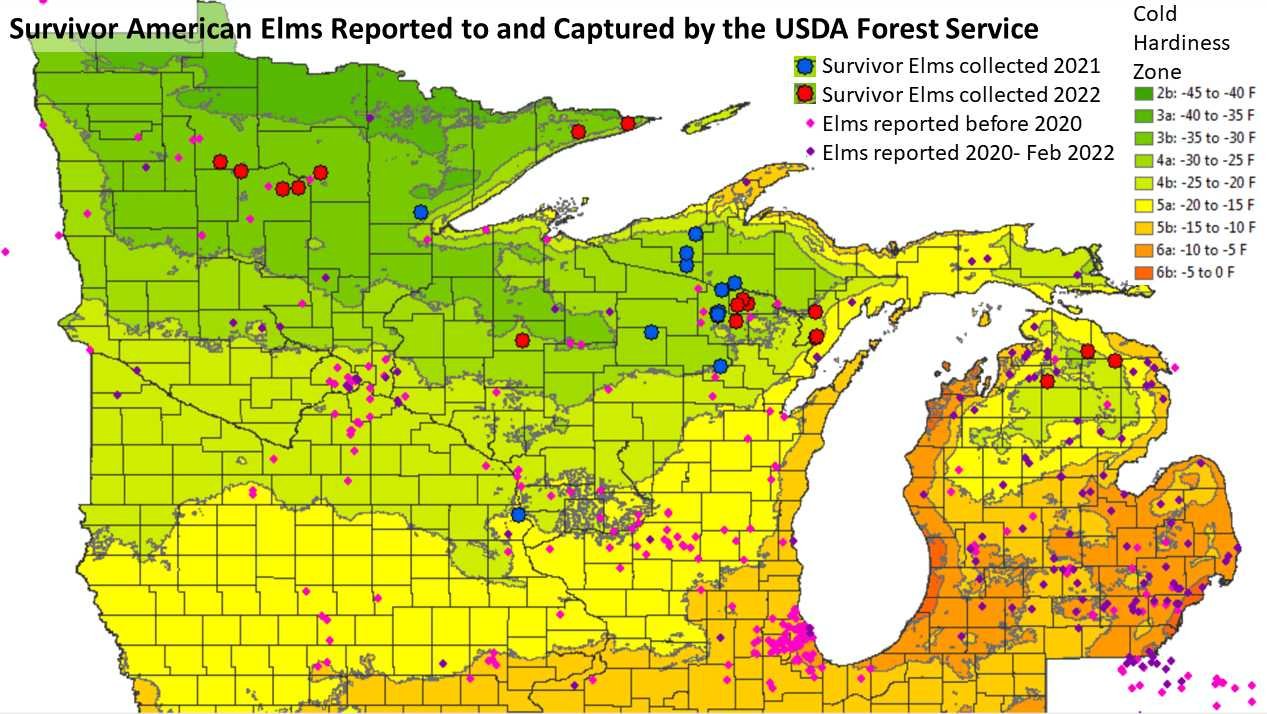 Restoring the role of American elm in Upper Midwest Forests RGS