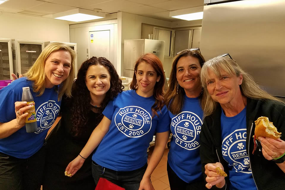 Volunteer Ruff House Rescue