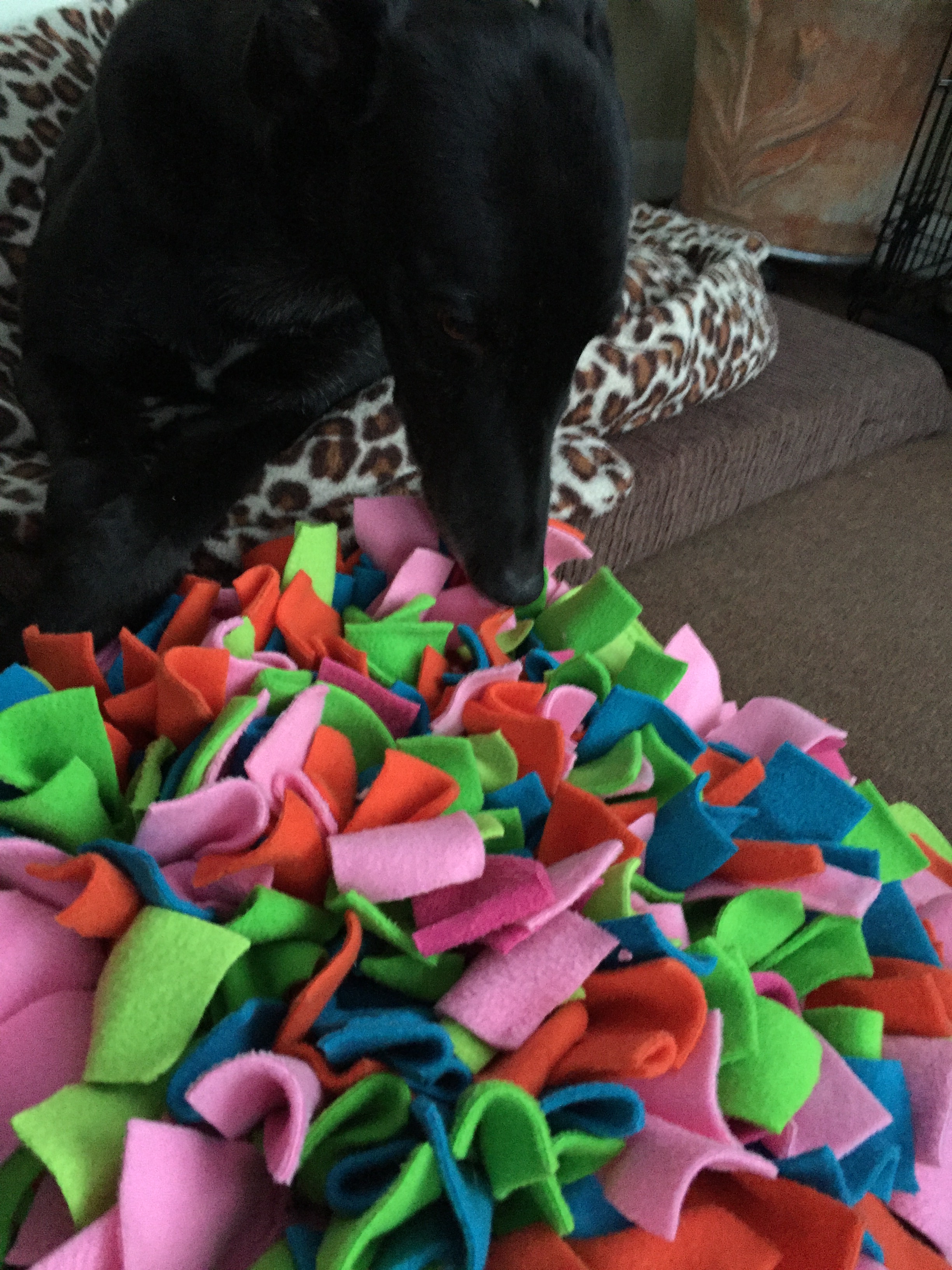 Ruffle Snuffle Gallery Snuffle mats for Dogs, Cats & Horses