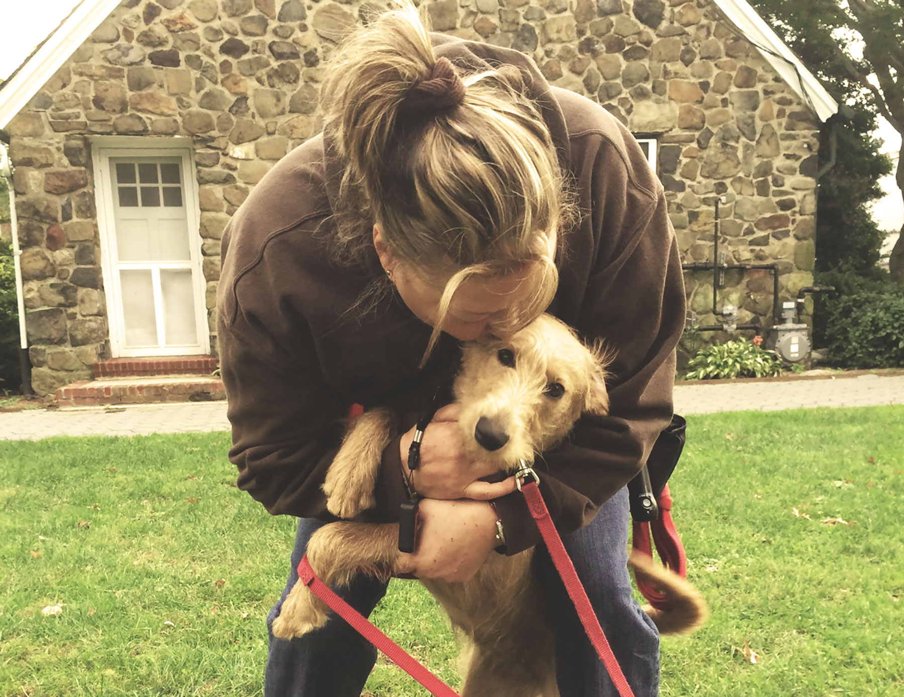 about RufF lOve dOg traiNIng