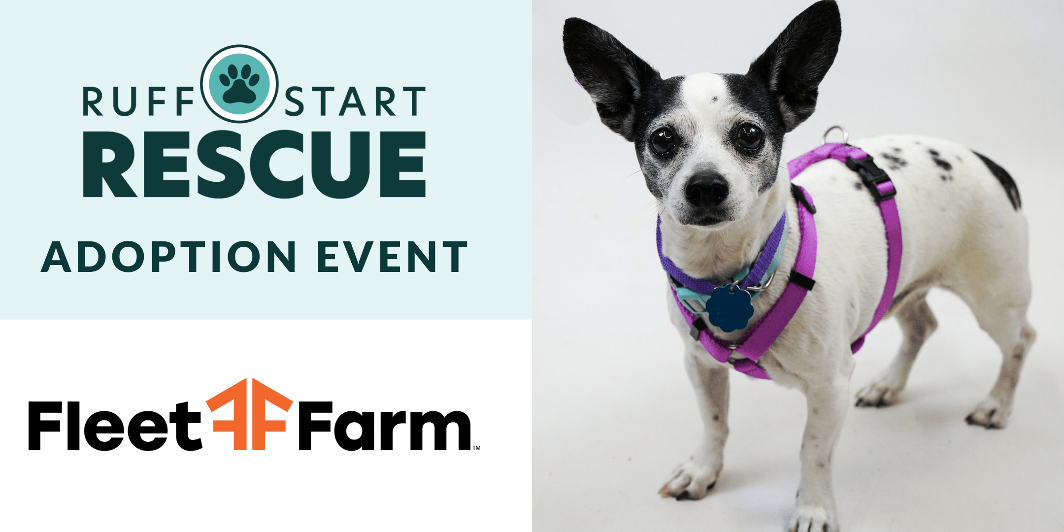 Can I Take My Dog Into Fleet Farm