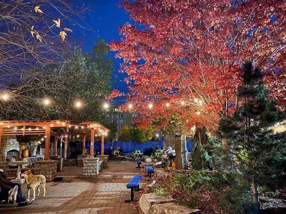 Drink for Dogs Night at Unleashed Hounds & Hops Ruff Start Rescue