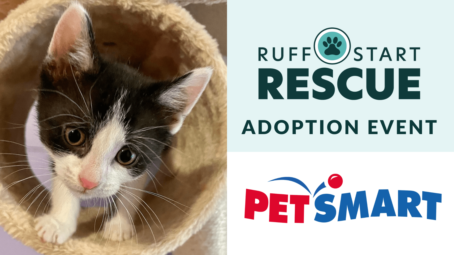 Monticello PetSmart Adoption Day Event Ruff Start Rescue