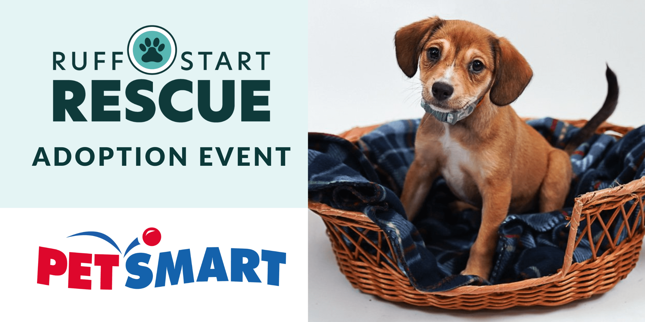 Eden Prairie PetSmart Adoption Day Event Ruff Start Rescue