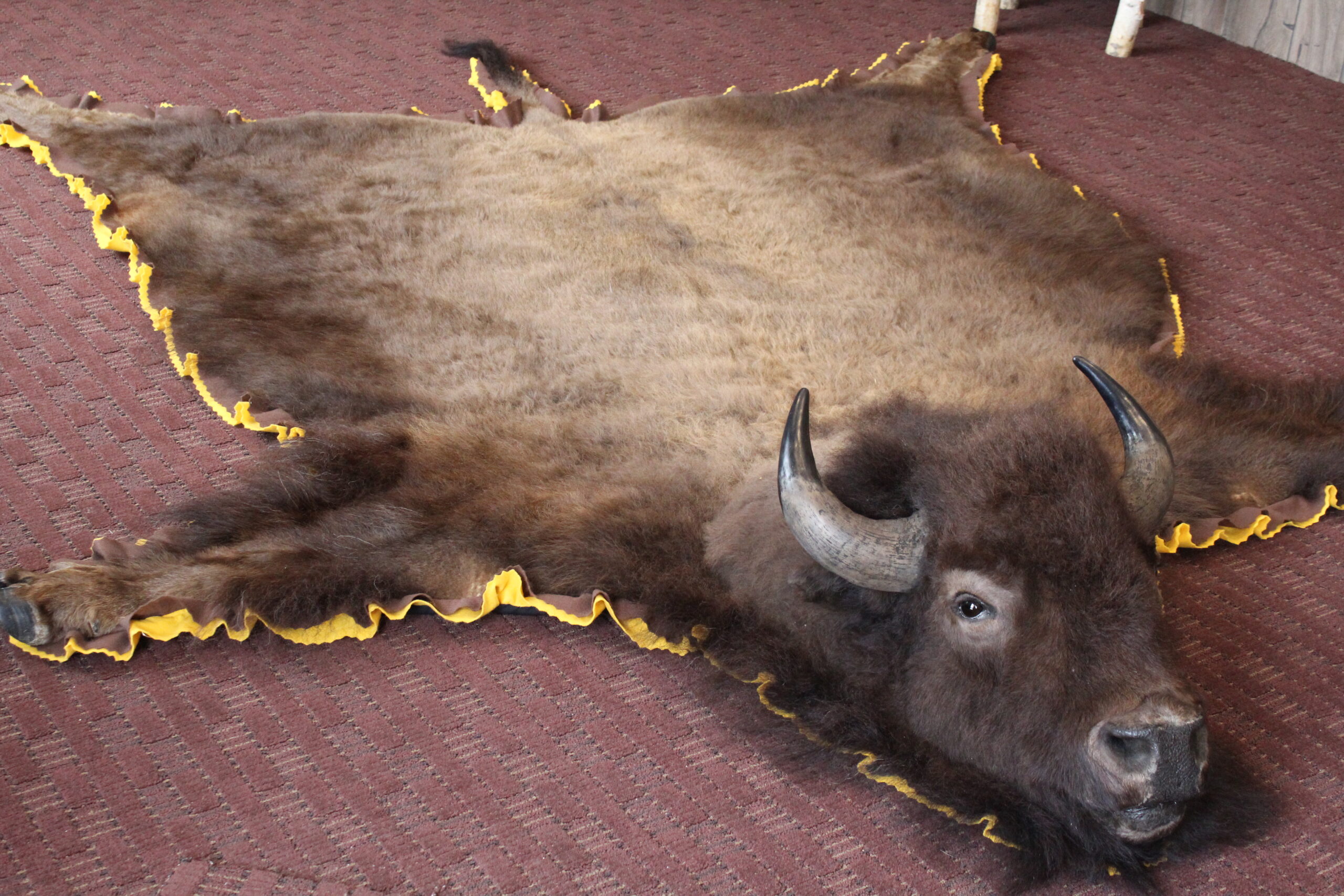 Taxidermy & Rugging RugBe Bears, LTD