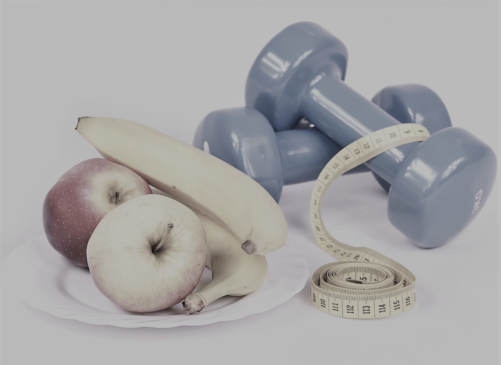 A Rugby Diet Rugby Dojo