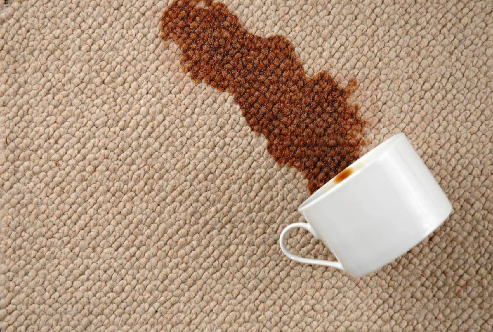 How to Clean Carpet and Rugs Rug Rats