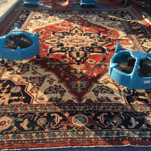 Rug Cleaning Rug Renew