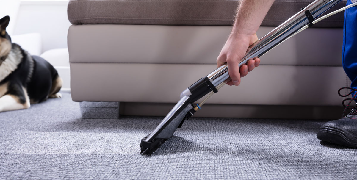 The Rug Works Cleaning Restoration Maintenance Marin SF Bay