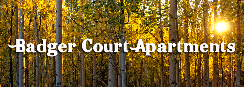 Two bedroom apartment for rent Alto NM, pets allowed on approval.