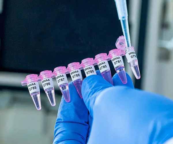 Adhesive Cryogenic Labels For PCR Tubes Ruilabels