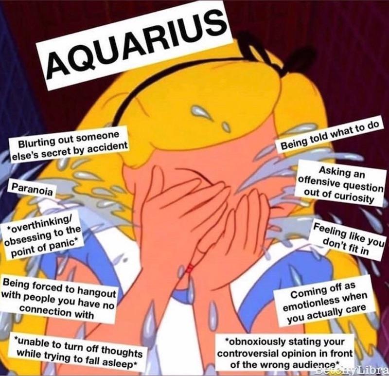 Memes That’ll Make Aquarians Feel Personally Assaulted