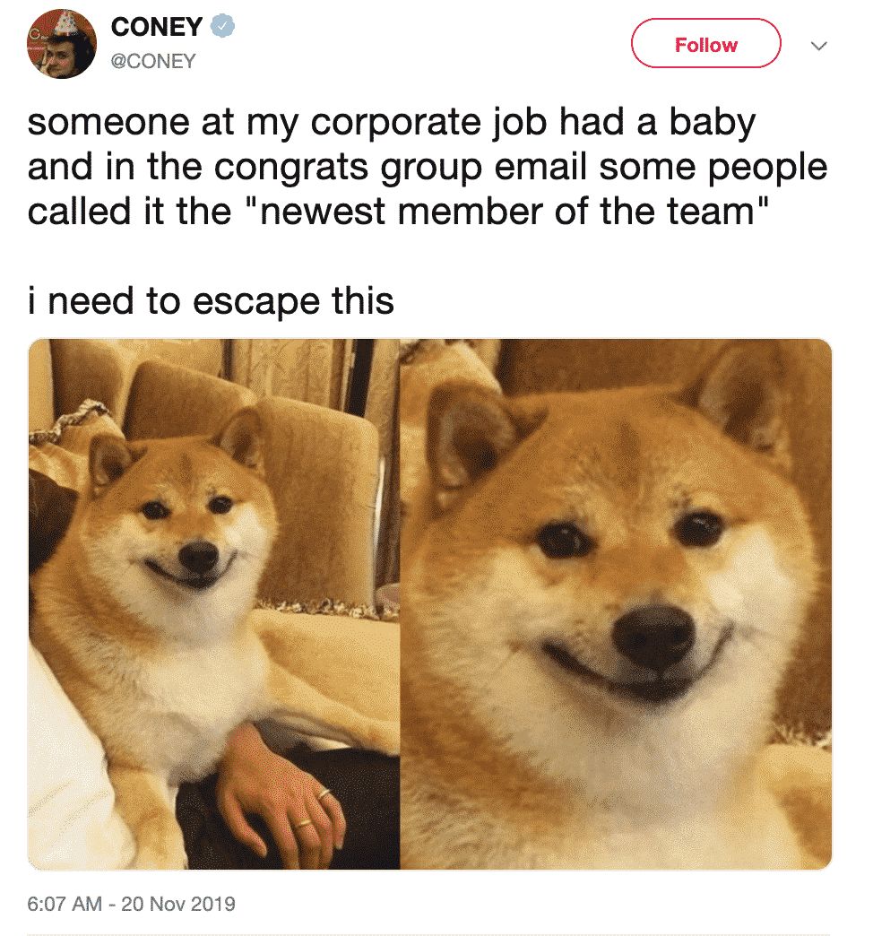 Every Work Email I Send So Sorry I Exist! (27 Funny Work Email Memes)