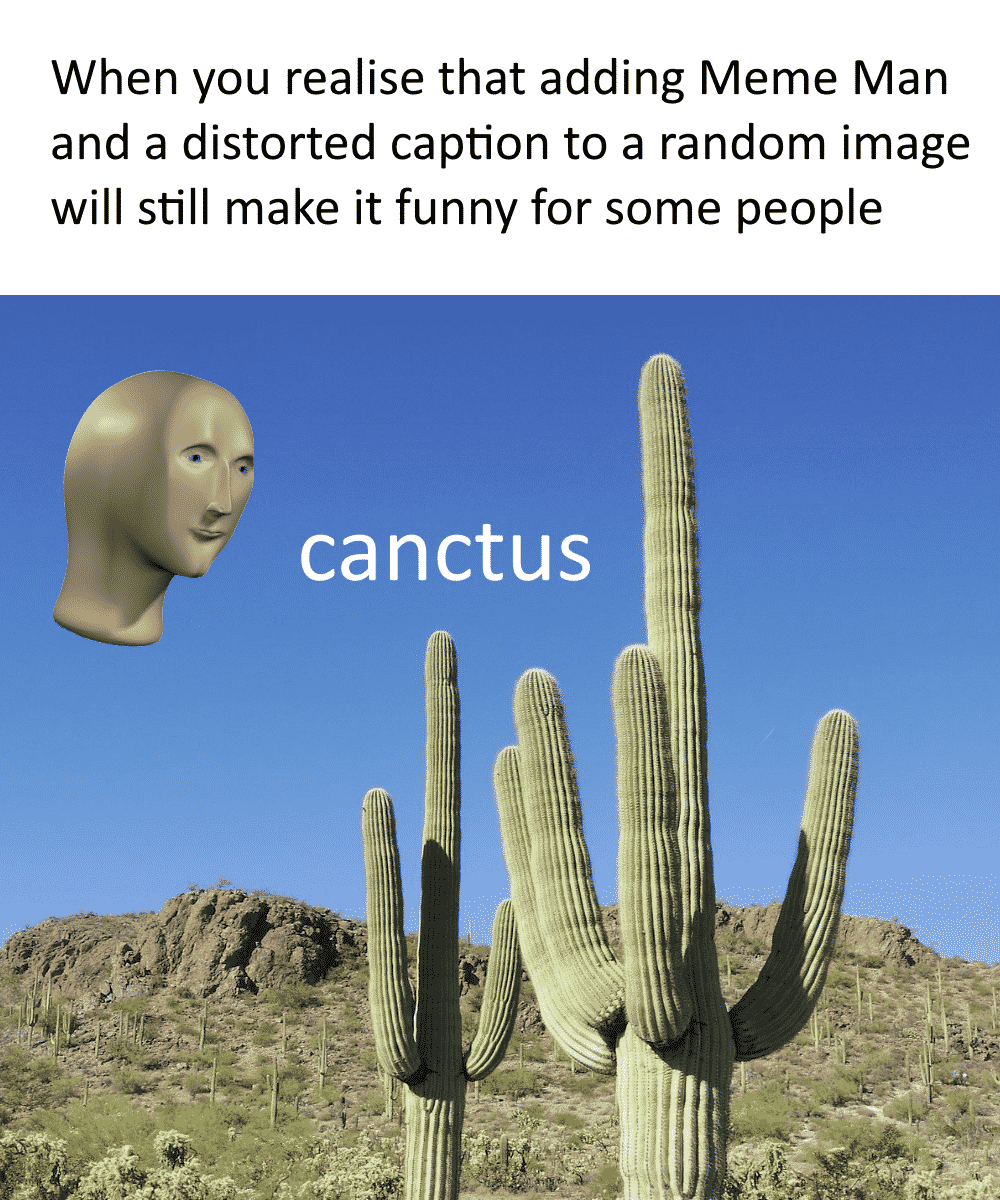 33 Of The Best Meme Man Memes We Could Find