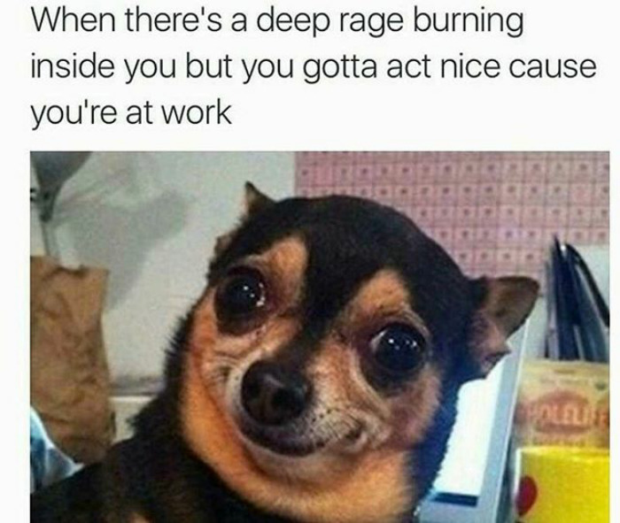 30 Funny Office Tweets To Share With Your Equally Miserable Coworker
