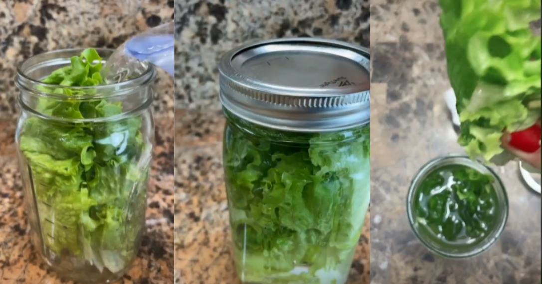 TikToker's Viral Hack Keeps Your Lettuce Fresh For A Month