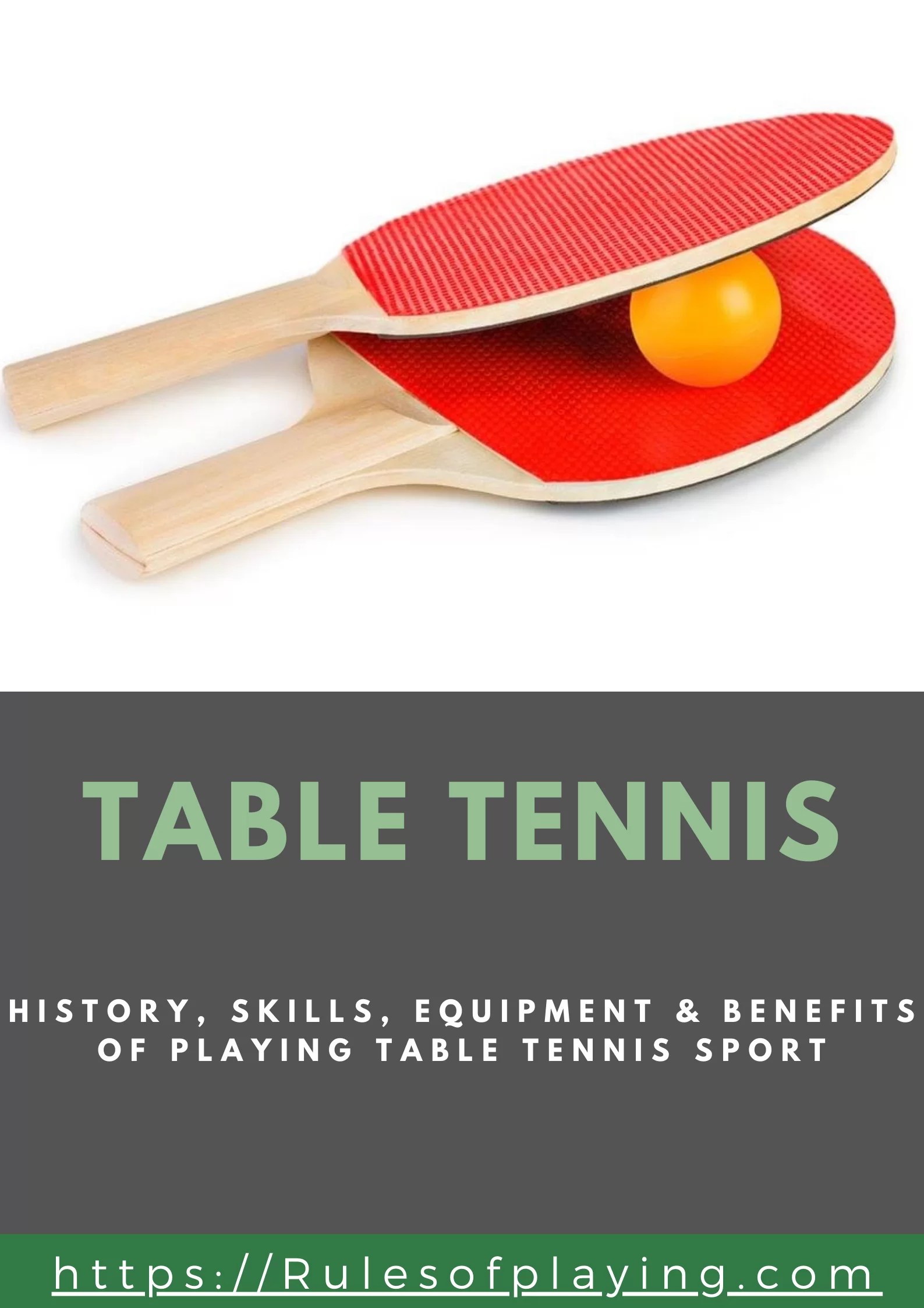 Table Tennis History, Skills & Equipment Needed to Play Rules of Playing