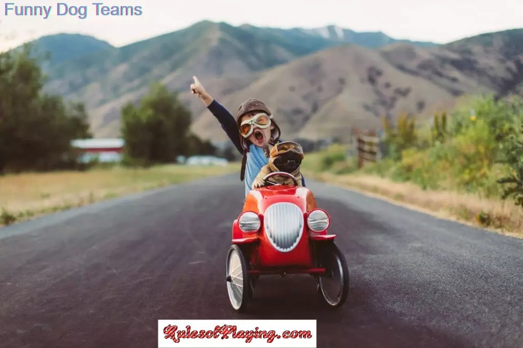 80+ Dog Group Names [ Funny, Cool, Running, Sports, Inappropriate ]